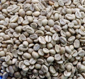 ethiopian arabica robusta green coffee beans 1730024645 7659136
